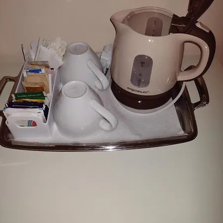 招待所 Mazzini 维亚雷焦