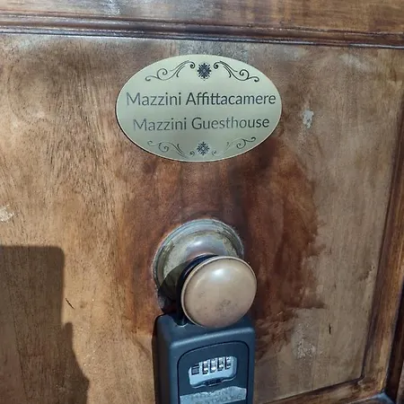 招待所 Mazzini 维亚雷焦